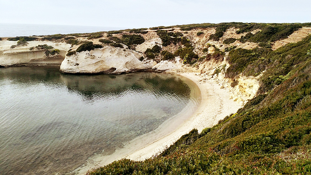 Spirito Italiano Silvio carta gin elio carta giniu Spirito Italiano Silvio carta gin elio carta giniu