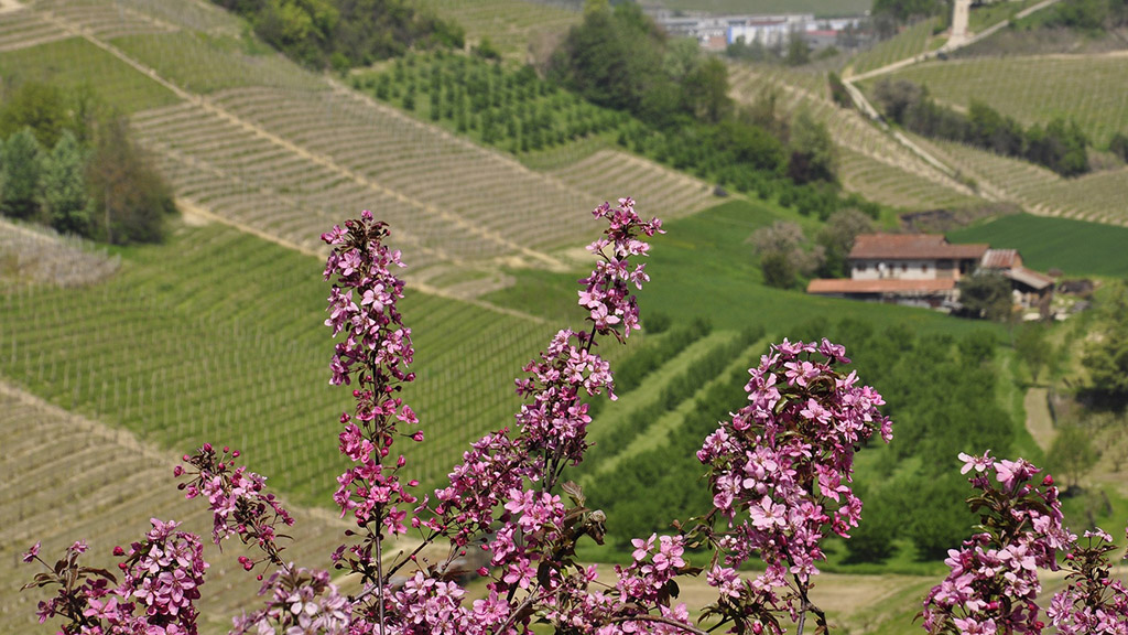 Spirito Italiano grandi langhe 2023 torino