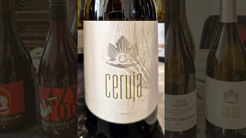 Spirito Italiano wine siena 2023 vino Spirito Italiano wine siena 2023 vino