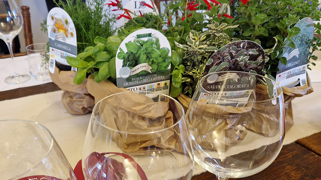 Spirito Italiano eccopinò appennino barga Spirito Italiano eccopinò appennino barga