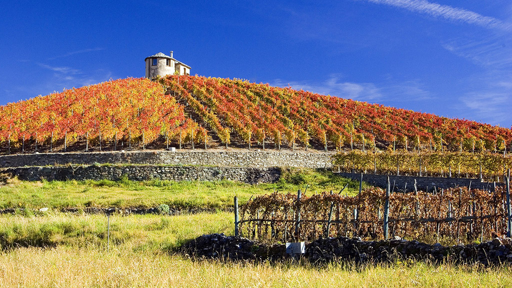 Spirito Italiano grappa valle d'aosta ig