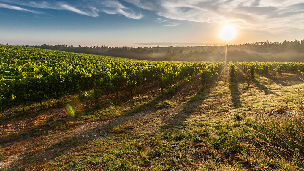 Spirito Italiano enoturismo cantine.wine
