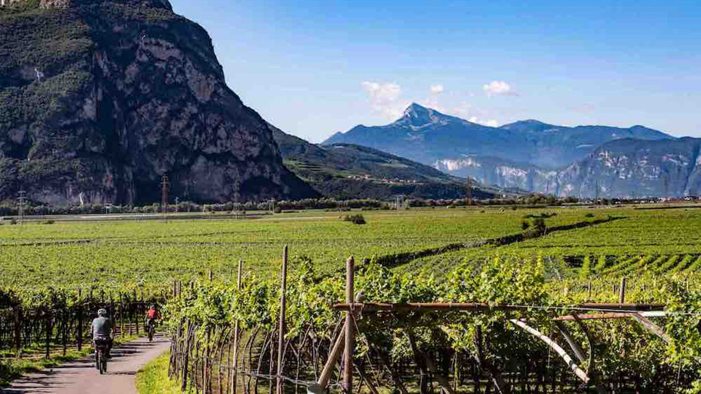 Spirito Italiano trentino wine 2023 trento