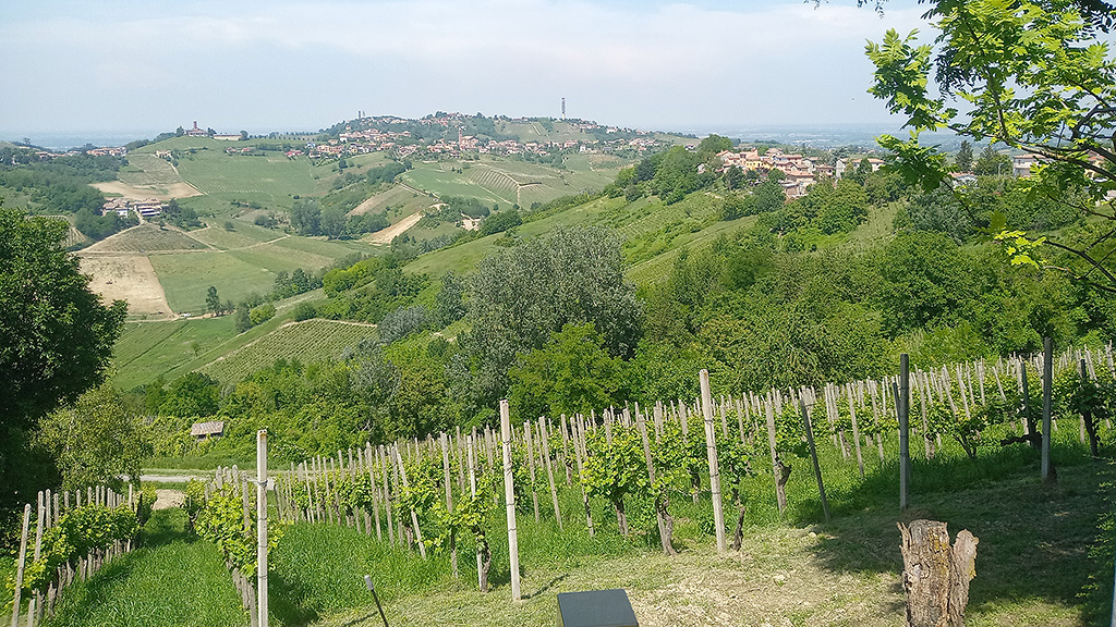 Spirito Italiano oltrepò,pinot