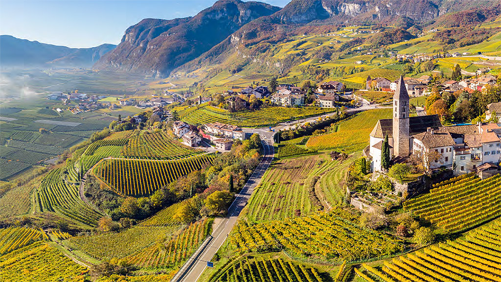 Spirito Italiano andreas kofler senso della vite Spirito Italiano andreas kofler senso della vite