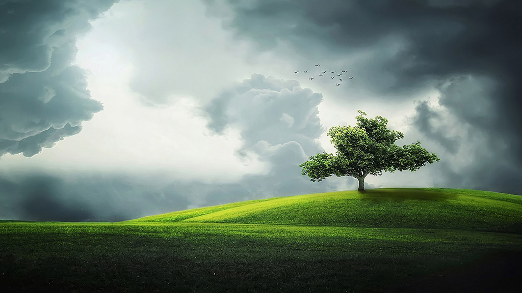 Spirito Italiano giornata ambiente 2023 coldiretti