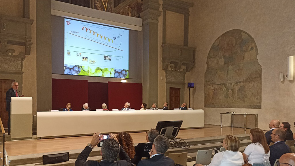 Spirito Italiano accademia vite vino moio