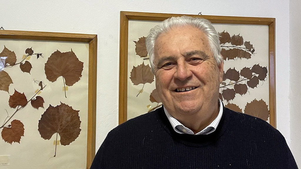 Spirito Italiano accademia vite vino anno