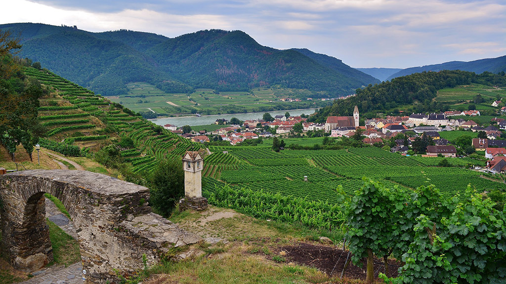 Spirito Italiano dop ig austria vino Spirito Italiano dop ig austria vino