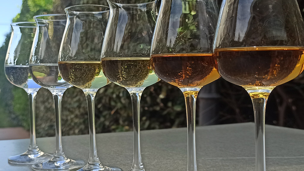 Spirito Italiano marzadro presidente grappa trentino