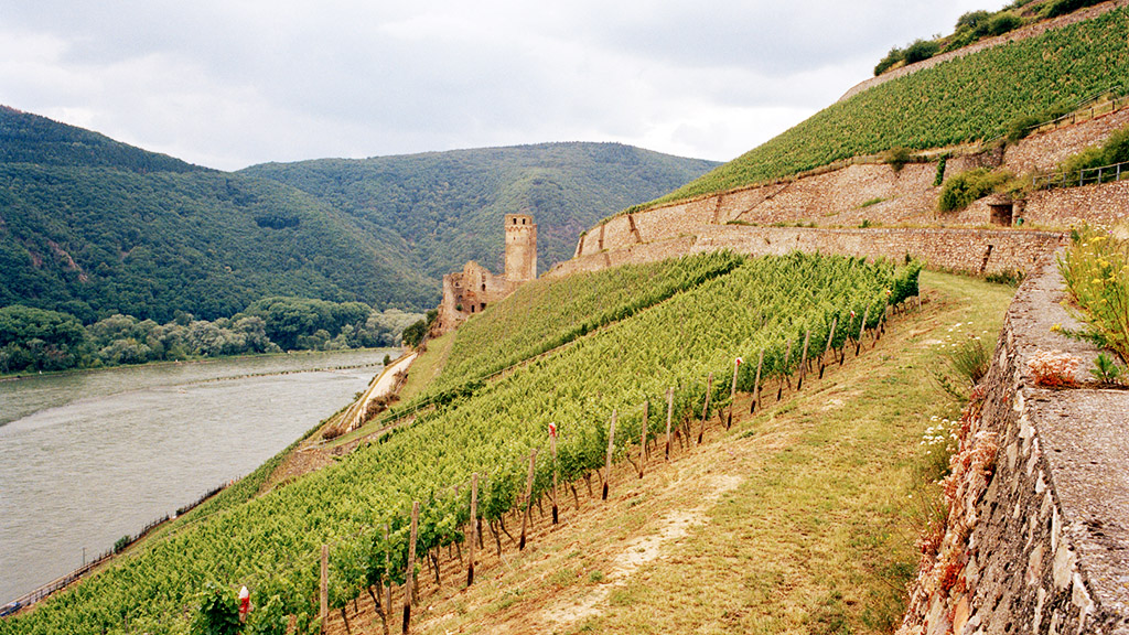 Spirito Italiano vino germania estate Spirito Italiano vino germania estate