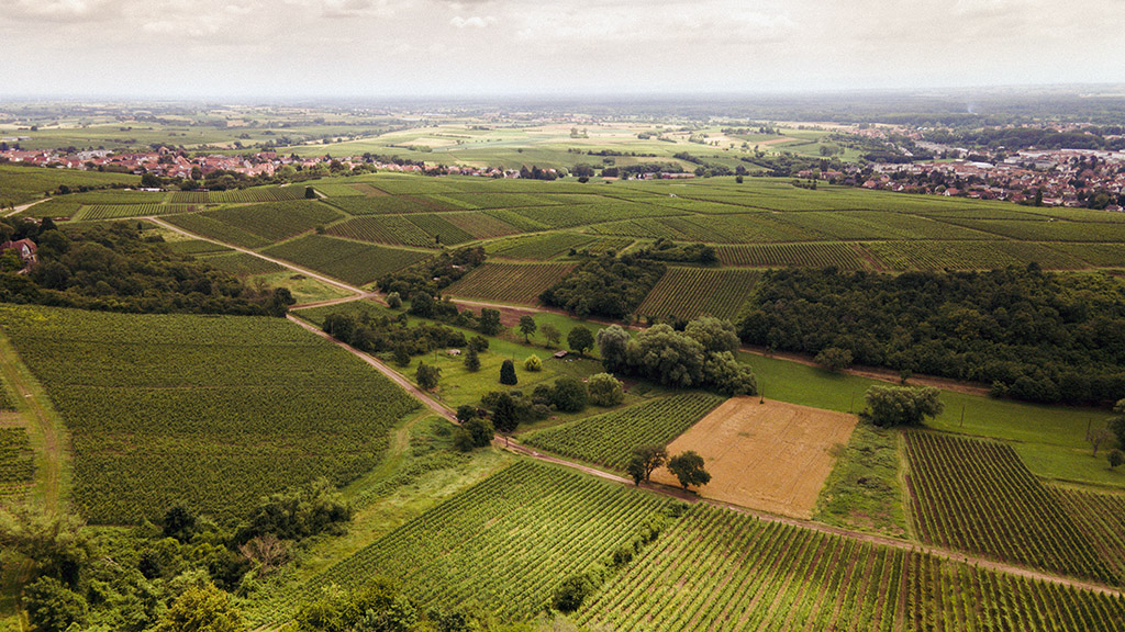 Spirito Italiano vino germania estate Spirito Italiano vino germania estate