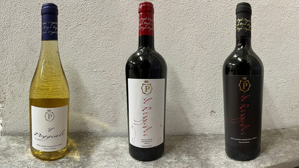 Spirito Italiano brugnano vino sicilia Spirito Italiano brugnano vino sicilia