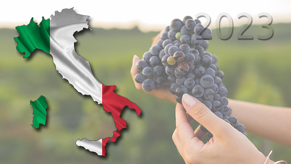 Spirito Italiano previsioni vendemmia vino italia 2023 Spirito Italiano previsioni vendemmia vino italia 2023