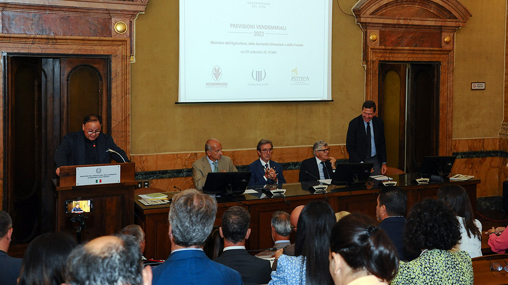 Spirito Italiano previsioni vendemmia vino italia 2023 Spirito Italiano previsioni vendemmia vino italia 2023