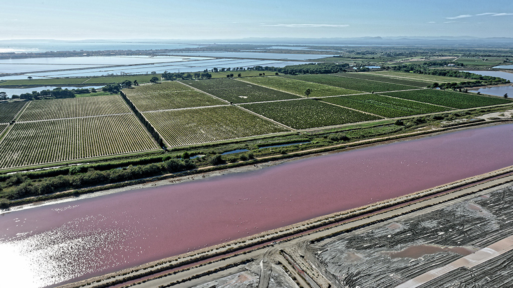 Spirito Italiano vino camargue vins sable Spirito Italiano vino camargue vins sable