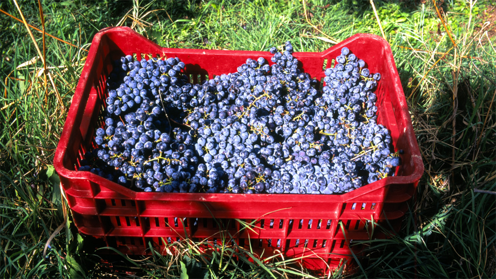 Spirito Italiano enotreno umbria spirito italiano