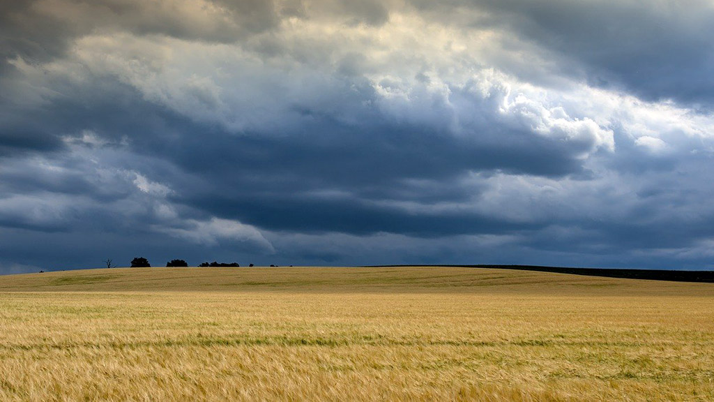 Spirito Italiano consumo alcol nocivo Spirito Italiano consumo alcol nocivo