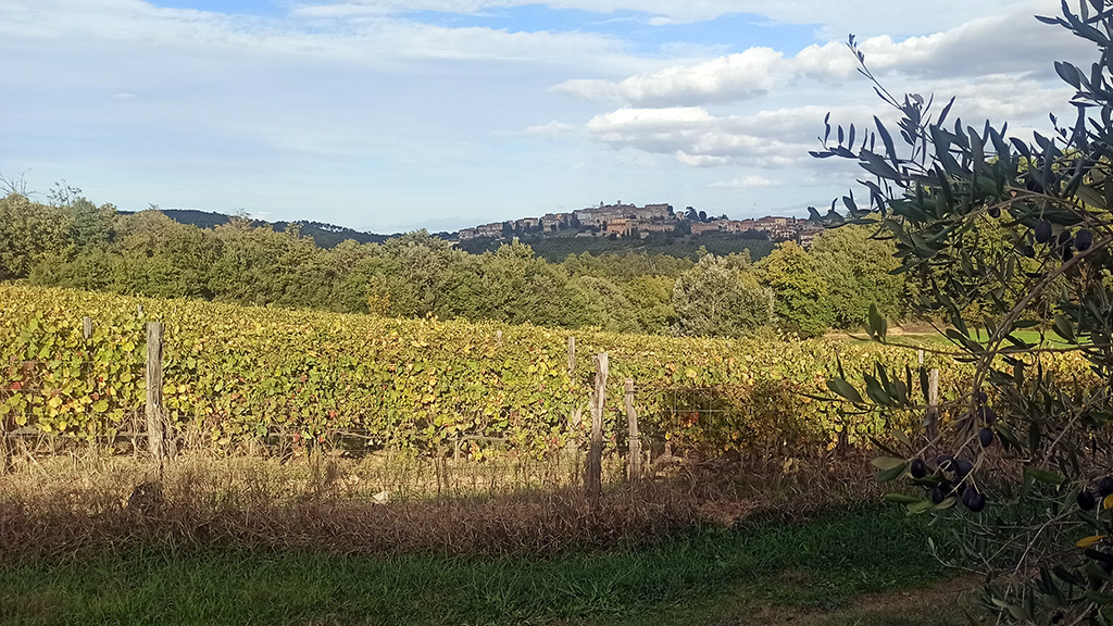 Spirito Italiano passito cinelli colombini donne vino