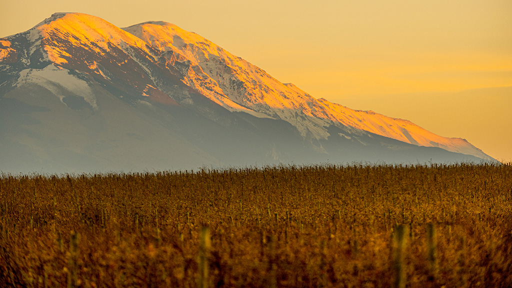 Spirito Italiano montepulciano cordisco abruzzo toscana Spirito Italiano montepulciano cordisco abruzzo toscana