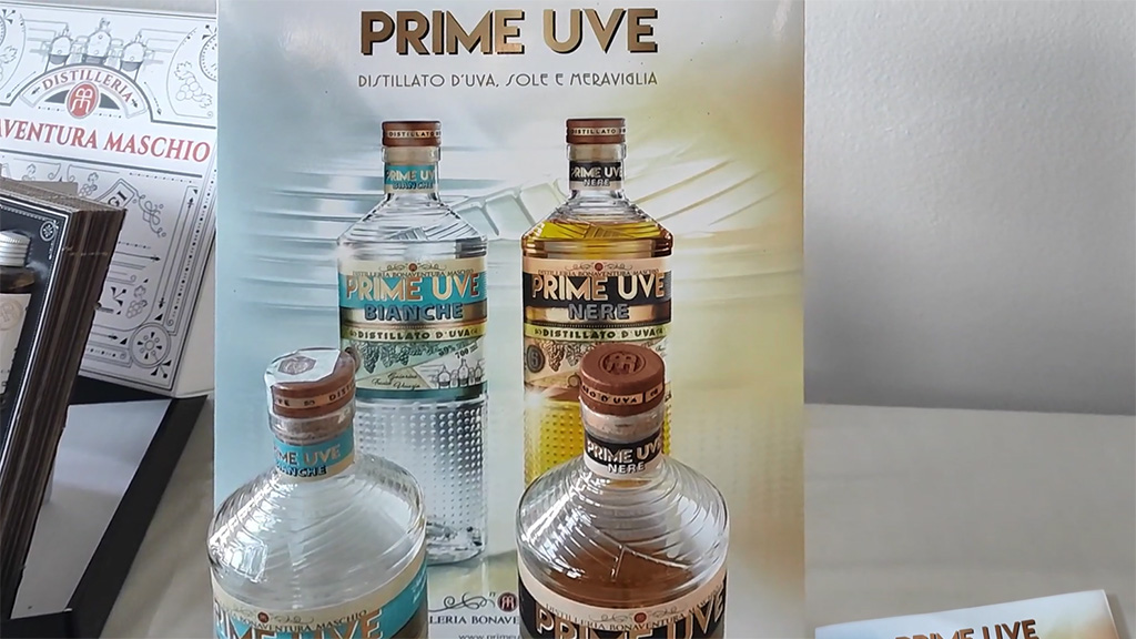 Spirito Italiano spirits,vetrina,maschio,primeuve
