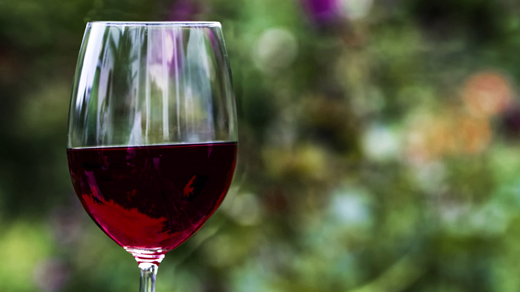 Spirito Italiano enotreno,abruzzo,molise,vino Spirito Italiano enotreno,abruzzo,molise,vino