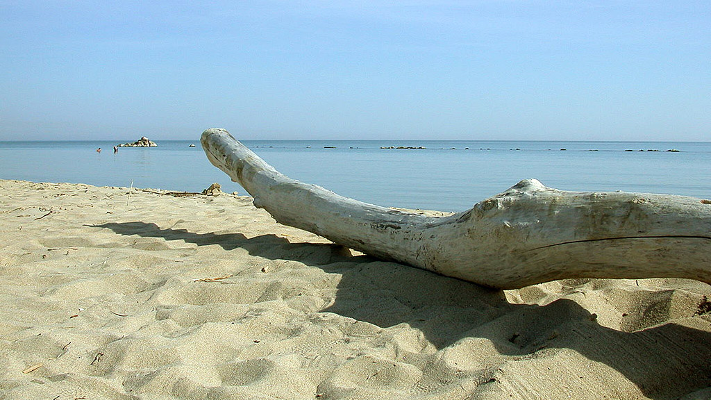 Spirito Italiano enotreno,abruzzo,molise,vino Spirito Italiano enotreno,abruzzo,molise,vino