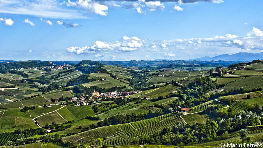Spirito Italiano barolo,palazzo,torino,degustazione