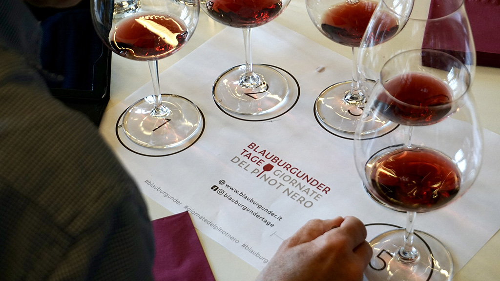 Spirito Italiano pinot nero