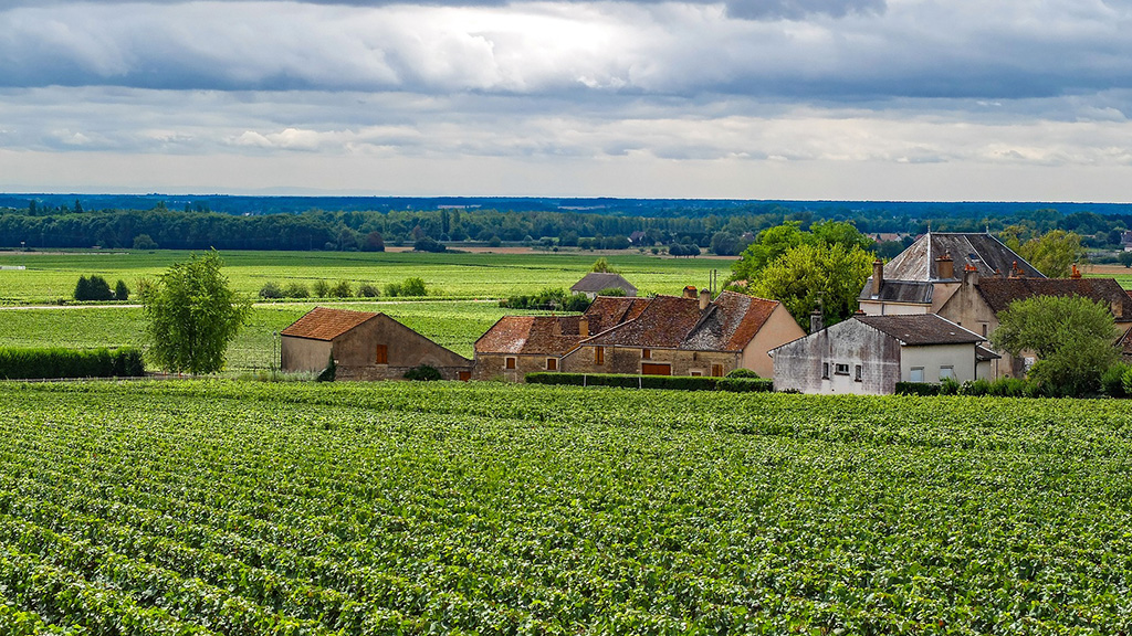 Spirito Italiano francia,dop,vino,spirits