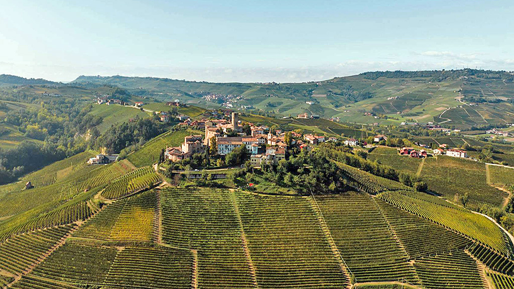 spirito italiano vino piemonte kelly