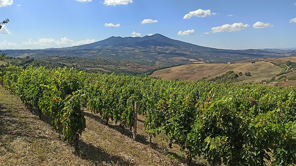 Spirito Italiano enotreno,basilicata,vulture,aglianico vulture paolo bini spirito italiano