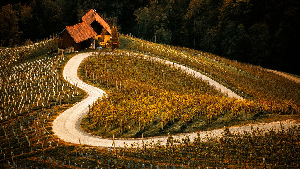 Spirito Italiano vino,salvate Spirito Italiano vino,salvate