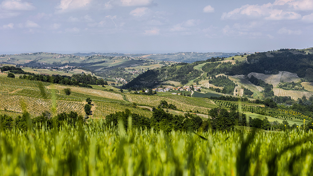 oltrepò terra di pinot nero 