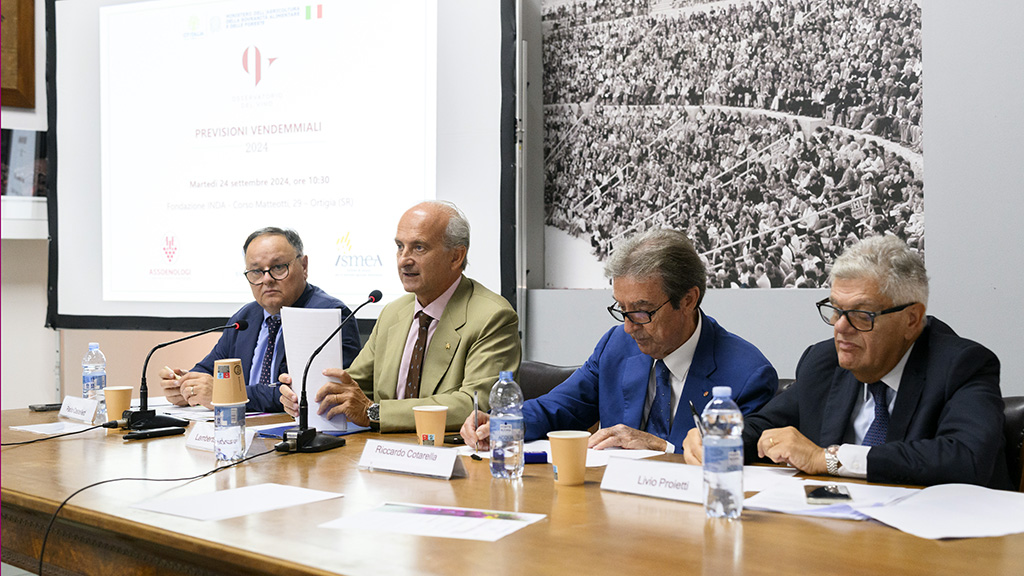 Spirito Italiano 2024,annata,vino