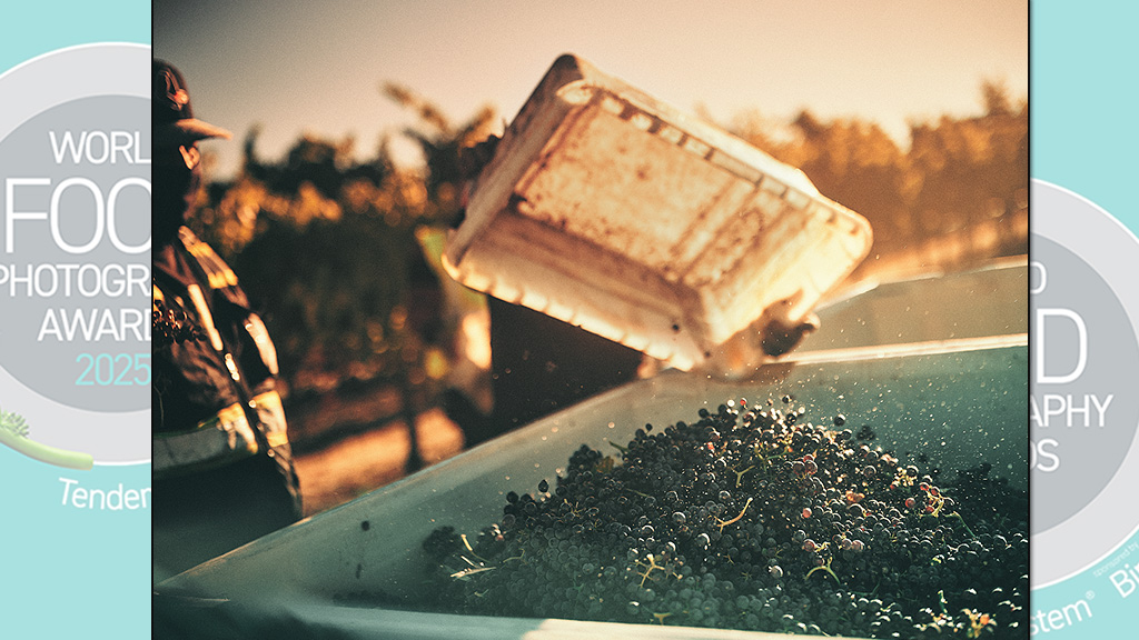 Spirito Italiano wine,food photography,fpoty
