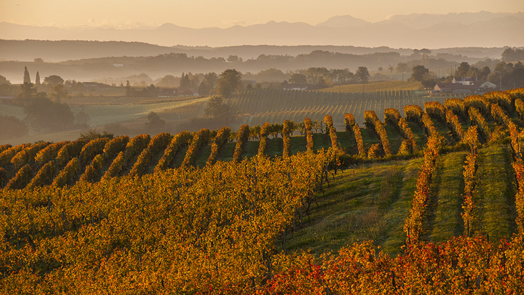 Spirito Italiano vin,liqueur Spirito Italiano vin,liqueur