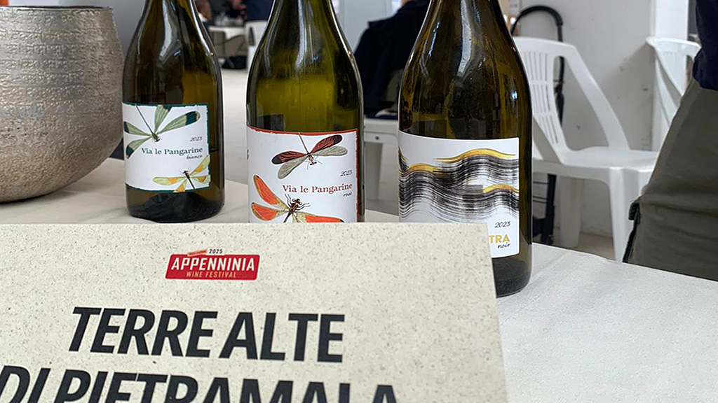 Spirito Italiano appenninia,vino,montagna
