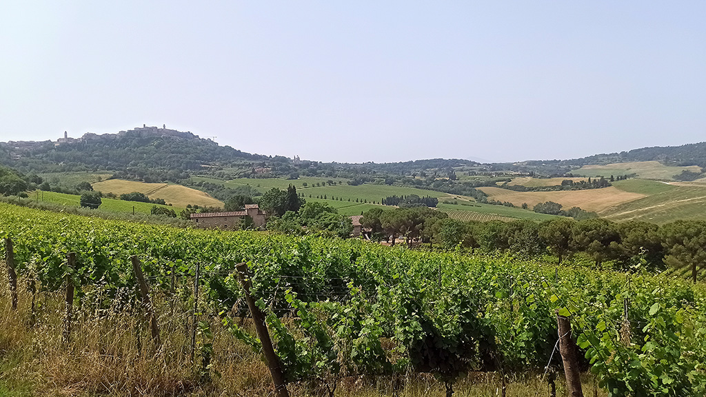 talosa vino nobile montepulciano paolo bini