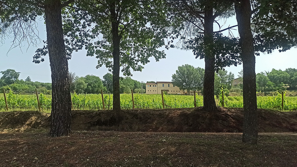 talosa vino nobile montepulciano paolo bini