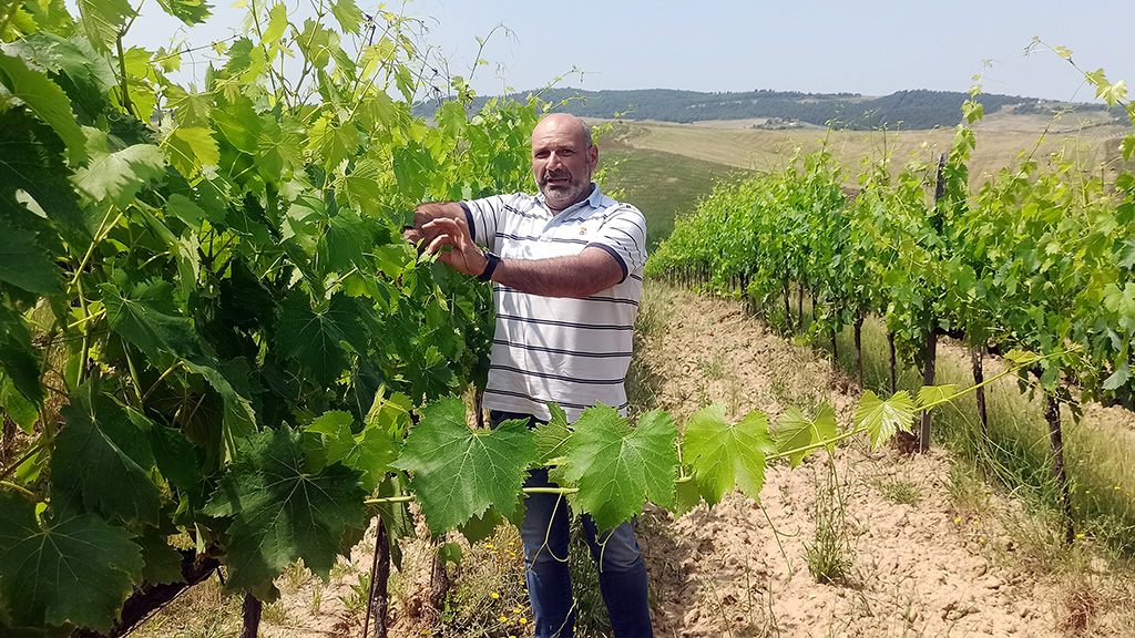 michele merola talosa vino nobile montepulciano paolo bini