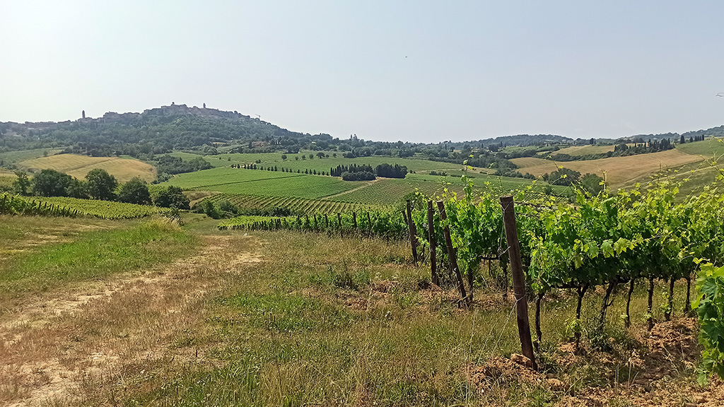 talosa vino nobile montepulciano paolo bini