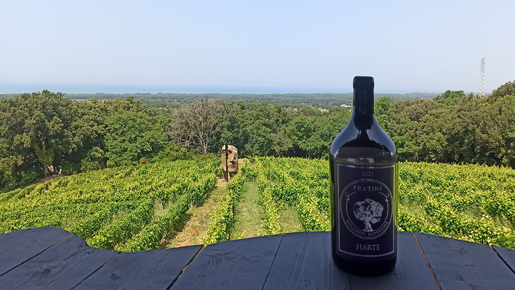 tenuta fratini bolgheri di luisa tolomei foto: paolo bini