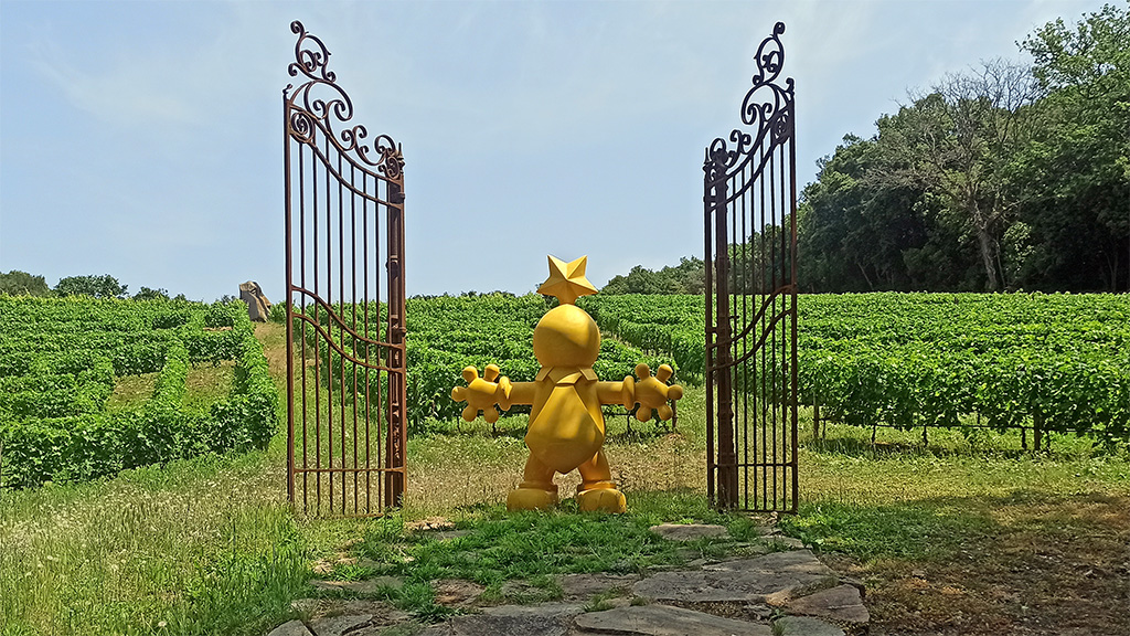 tenuta fratini bolgheri di luisa tolomei foto: paolo bini