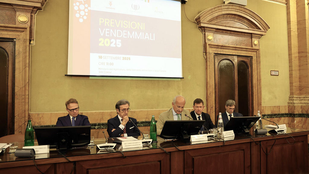 Spirito Italiano vendemmia,previsioni,vino previsioni vendemmia 2025 assoenologi