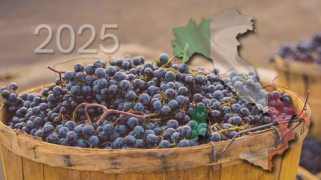 Spirito Italiano vendemmia,previsioni,vino Spirito Italiano vendemmia,previsioni,vino