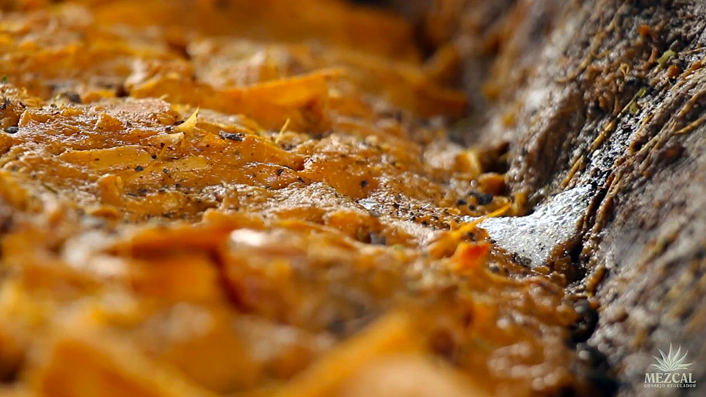 Spirito Italiano agave,mezcal,fermentazione Spirito Italiano agave,mezcal,fermentazione