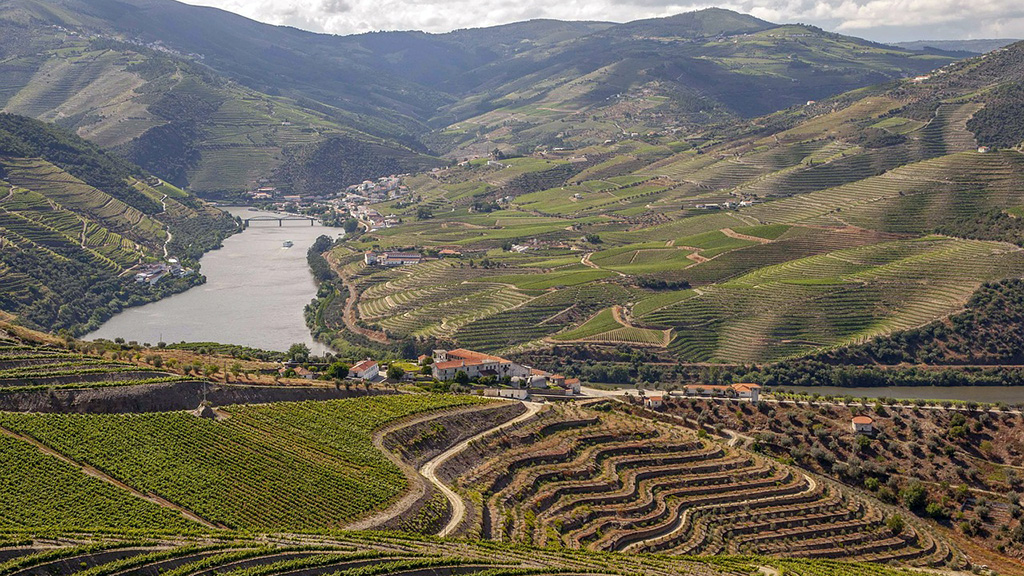 Spirito Italiano star,wine,enthusiast Douro - M. Zogheb