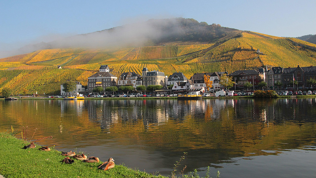 Spirito Italiano eiswein,germania,icewine Spirito Italiano eiswein,germania,icewine