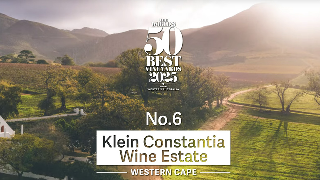 Spirito Italiano vik,best Spirito Italiano vik,best